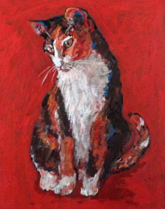 Katze 40 X 50